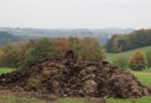 Fertilizers IN HINDI