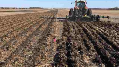 types of tillage hindi