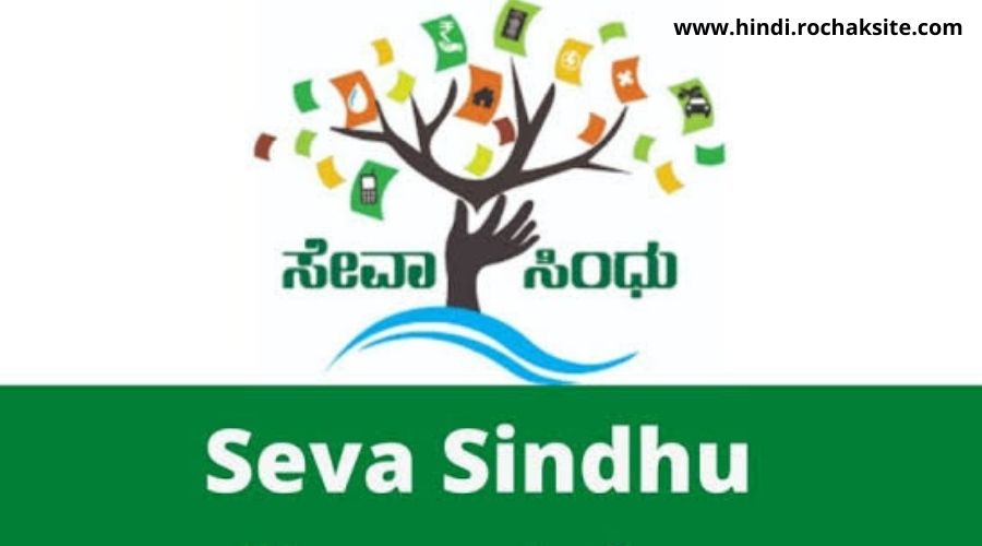 SEVA SINDHU AUTO DRIVER