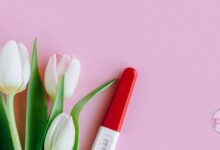 तीर रिजल्ट आज 14 मार्च 2026: शिलॉन्ग, खानापारा और जुवाई के विनिंग नंबर्स और अपडेट्स image